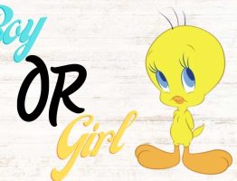 Is Tweety Bird a Boy or a Girl